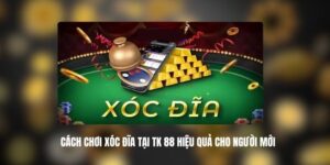 Cách Chơi Xóc Đĩa Tại TK 88 Hiệu Quả Cho Người Mới 4 tk88 9